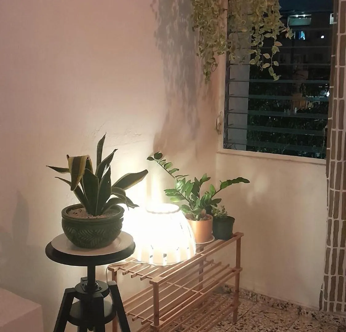 Apartment In The Heart Of The Distrito Nacional Santo Domingo